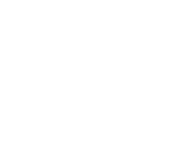 amey