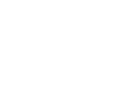 Vantage_DC_logo